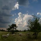 die wetterscheide über der heide...