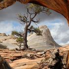 Die White Domes am oberen Ende des Water Canyon bei Hildale / Utah...