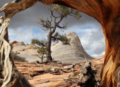 Die White Domes am oberen Ende des Water Canyon bei Hildale / Utah...