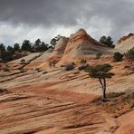 Die White Domes bei Hildale...