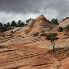 Die White Domes bei Hildale...