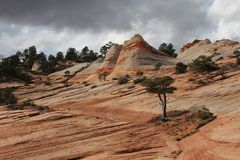 Die White Domes bei Hildale...