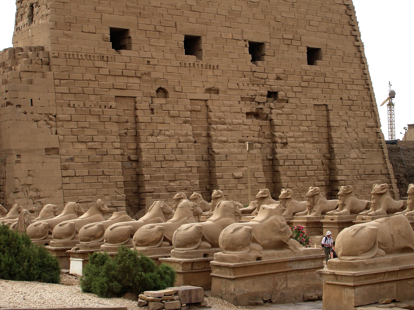 Die Widderallee vor dem Tempel von Karnak