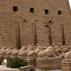 Die Widderallee vor dem Tempel von Karnak