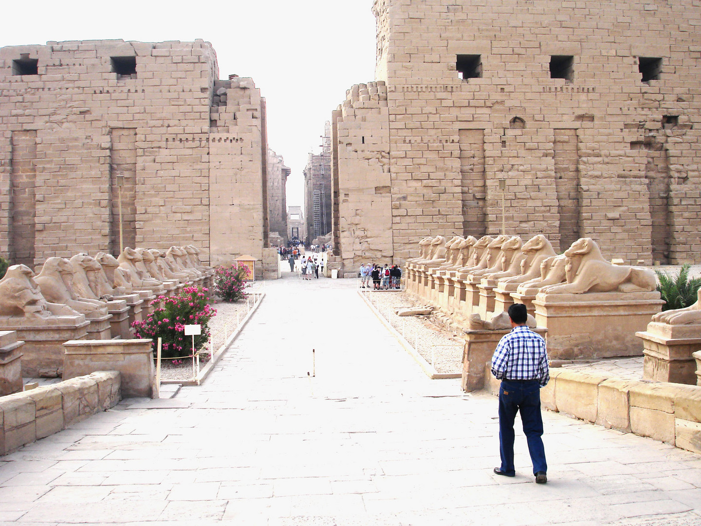 Die Widderallee vor dem Tempel von Karnak in Ägypten