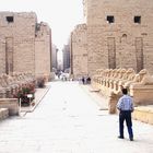 Die Widderallee vor dem Tempel von Karnak in Ägypten