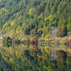 Die Widerspiegelung in Jiuzhaigou