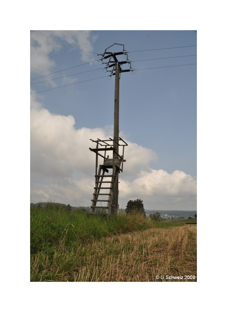 Die Wiedereinführung des "Elektrischen Stuhls"?!?!