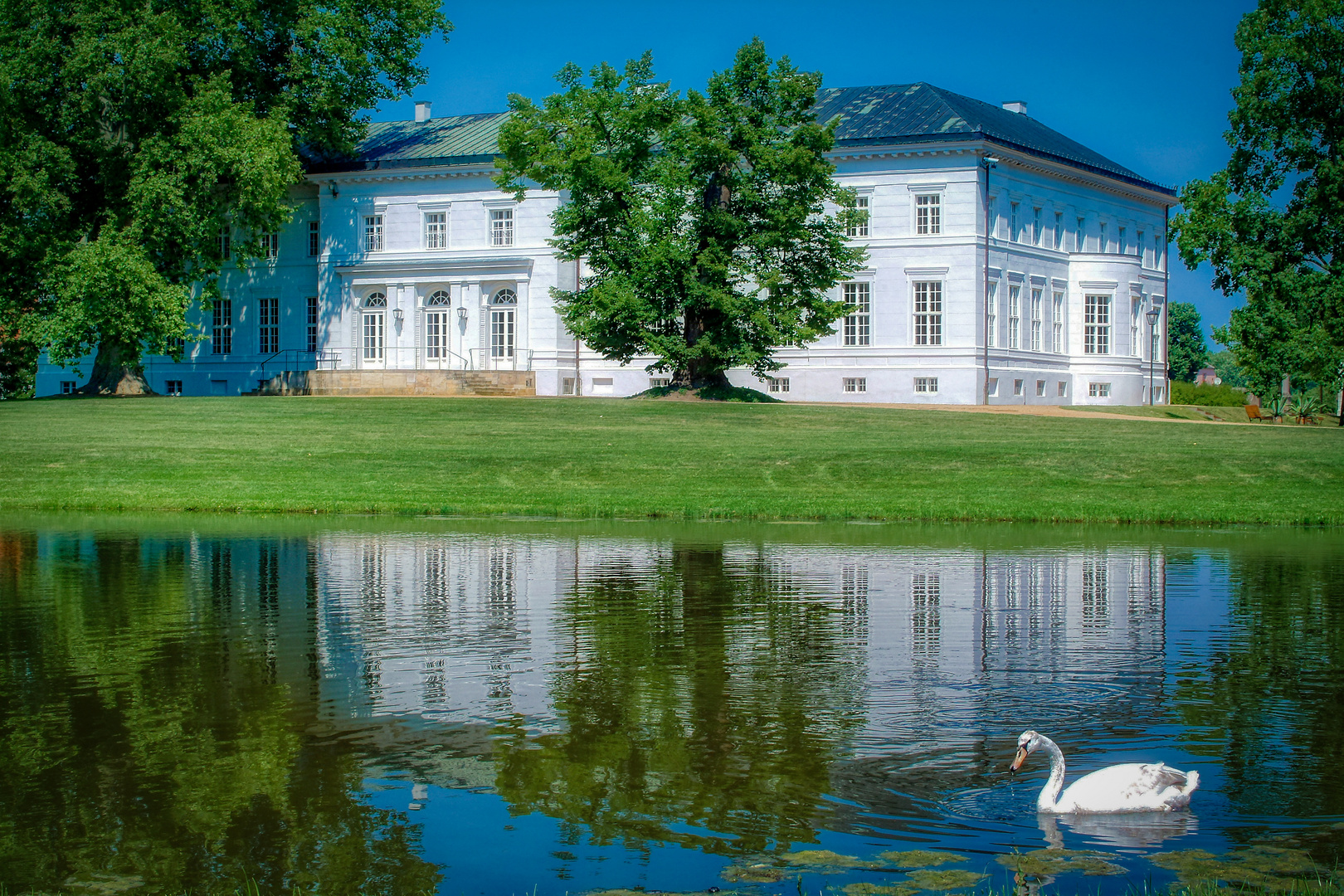 DIE WIEDERKEHR DES SOMMERS