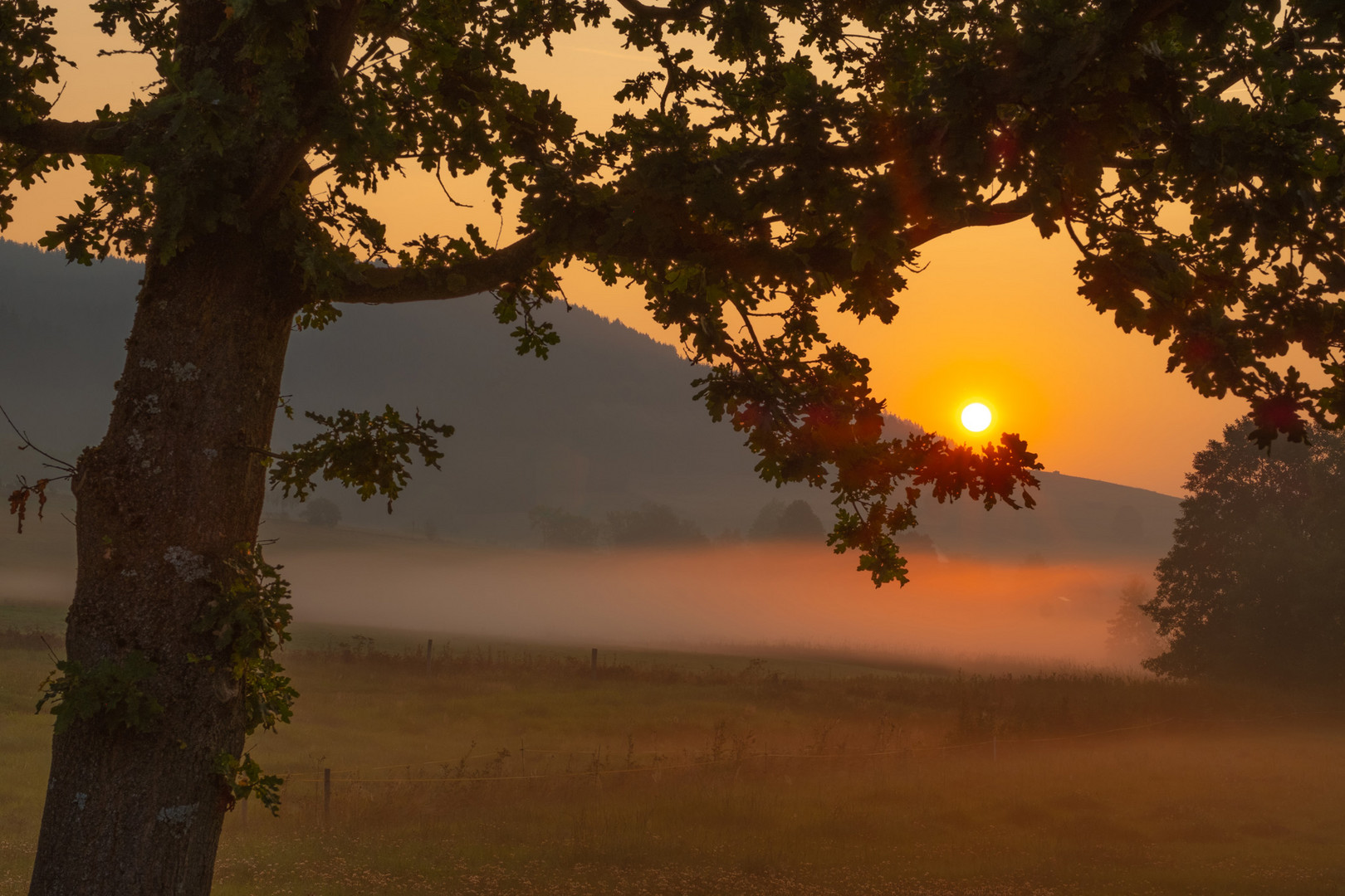 Die Wiege der Sonne...