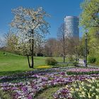 Die Wiener Gärtner beim Wasserpark