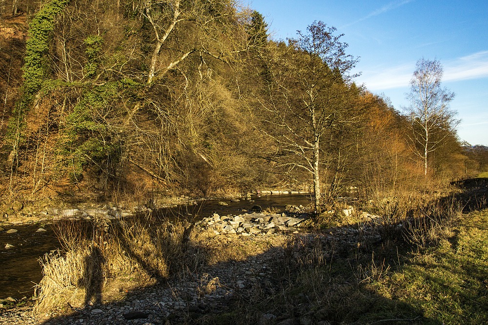 Die Wiese bei Maulburg