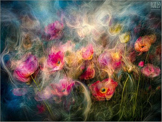 Die Wiese der Träume (nach Rudi v.A.) II