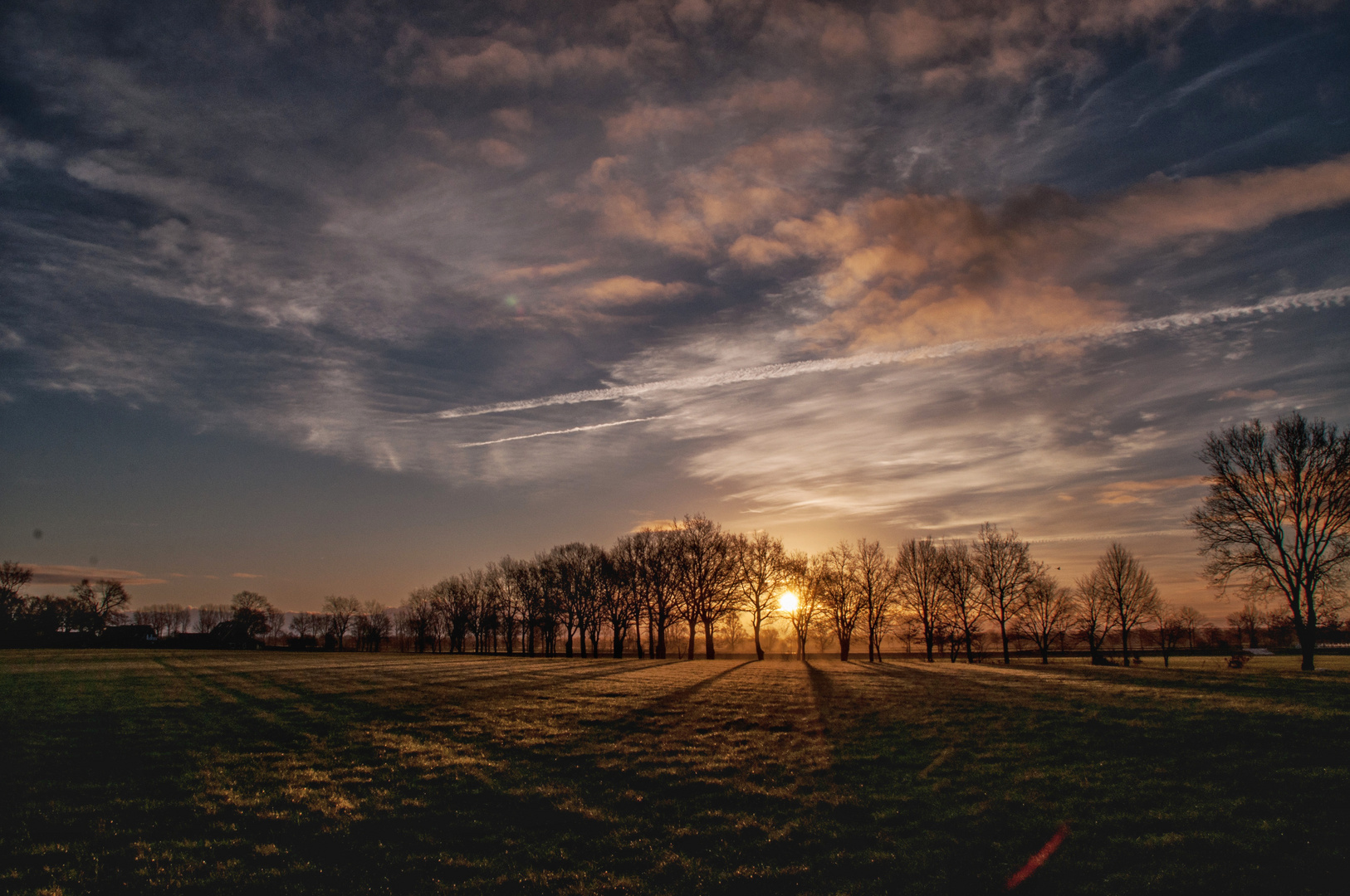 Die Wiese hinter meinem Haus