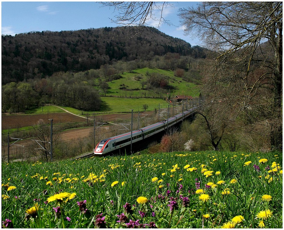 Die Wiese im April