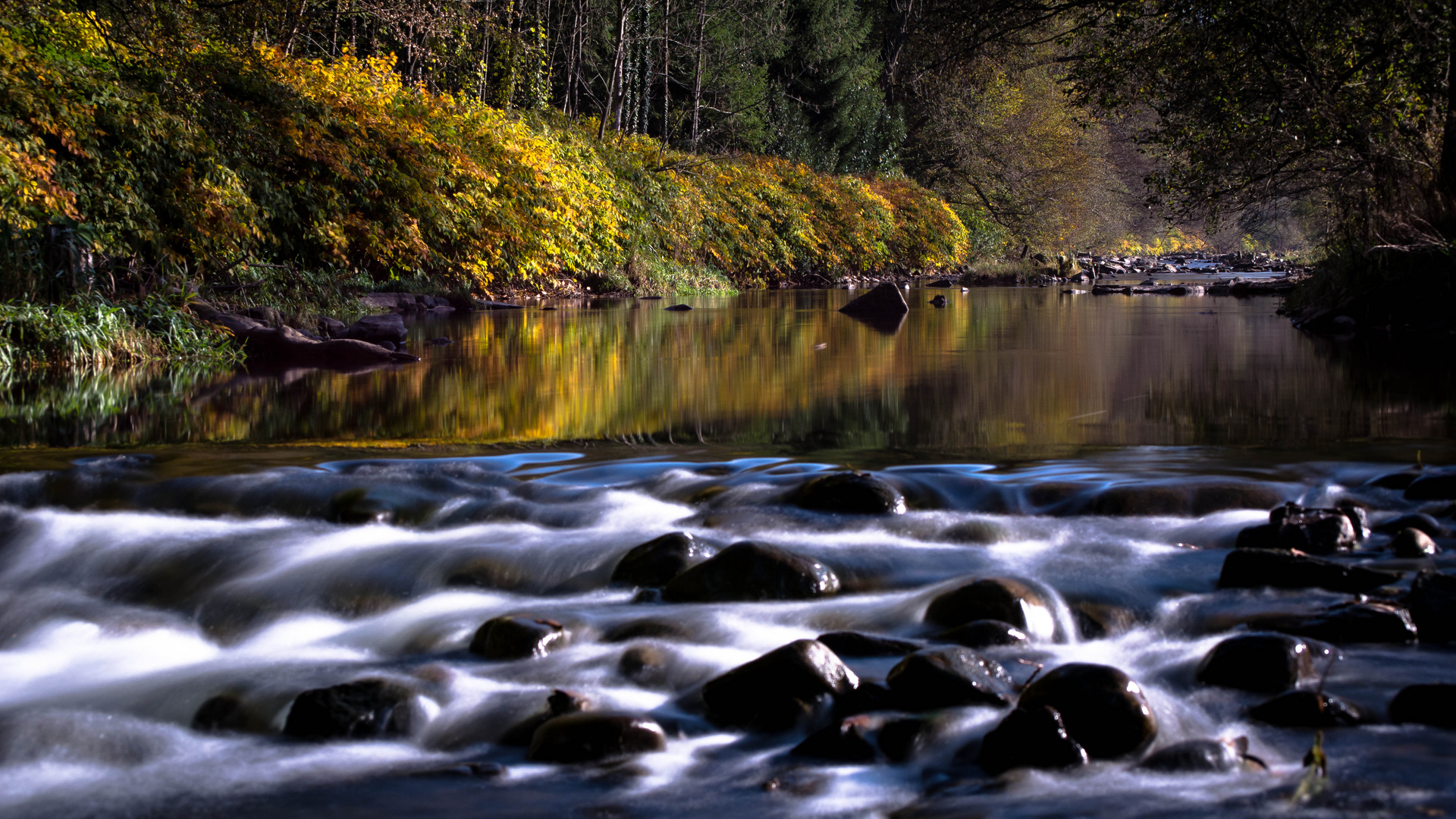 Die Wiese im Herbst