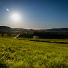 Die Wiese steht im Rampenlicht...