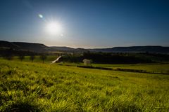 Die Wiese steht im Rampenlicht...