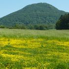 Die Wiese unter den Rosenberg in Böhmischen Schweiz.