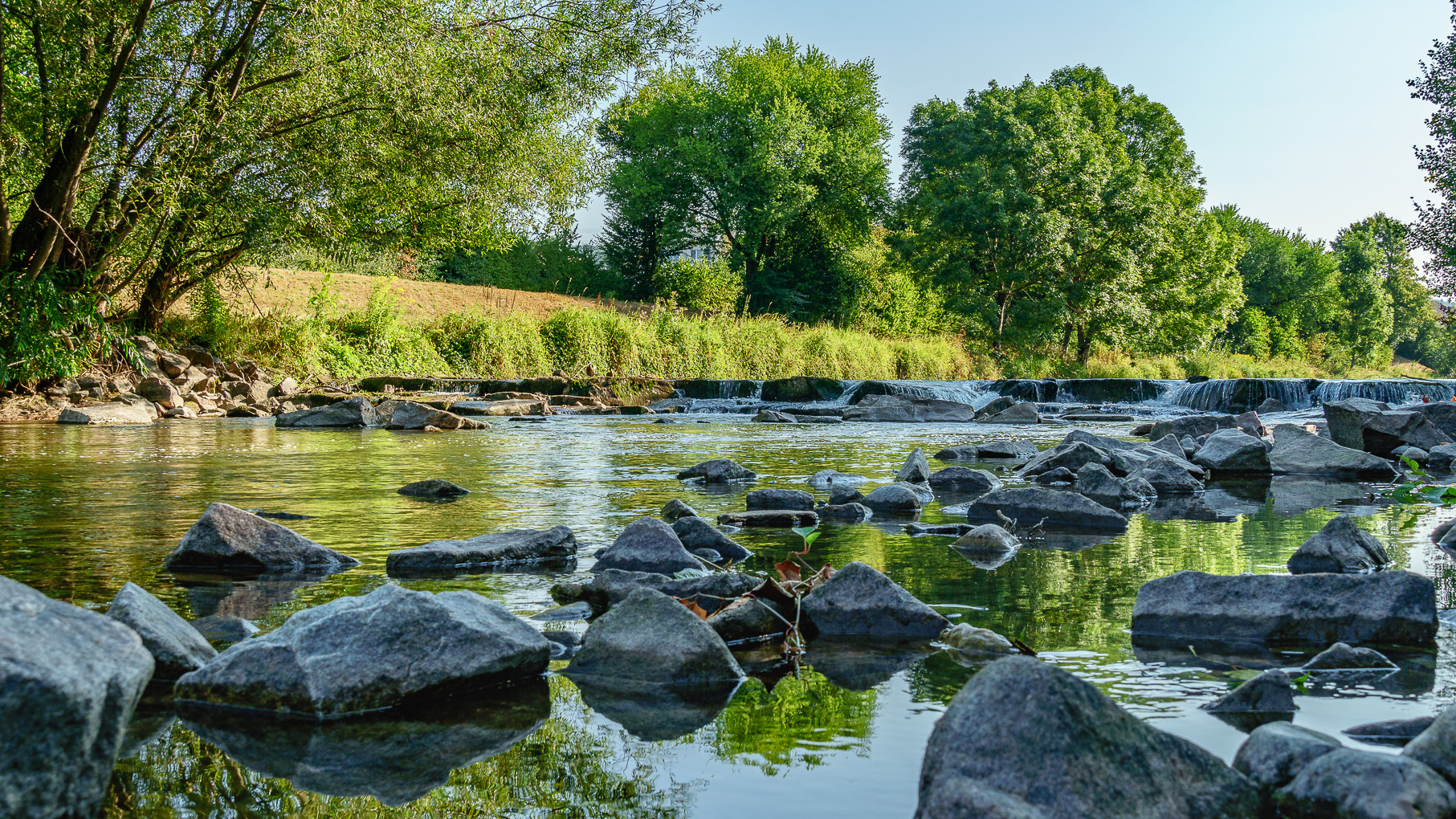 Die Wiese " Wasserstand "