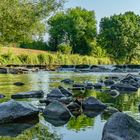 Die Wiese " Wasserstand "