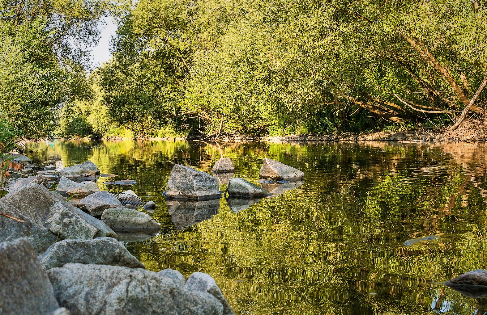 Die Wiese " Wasserstand "