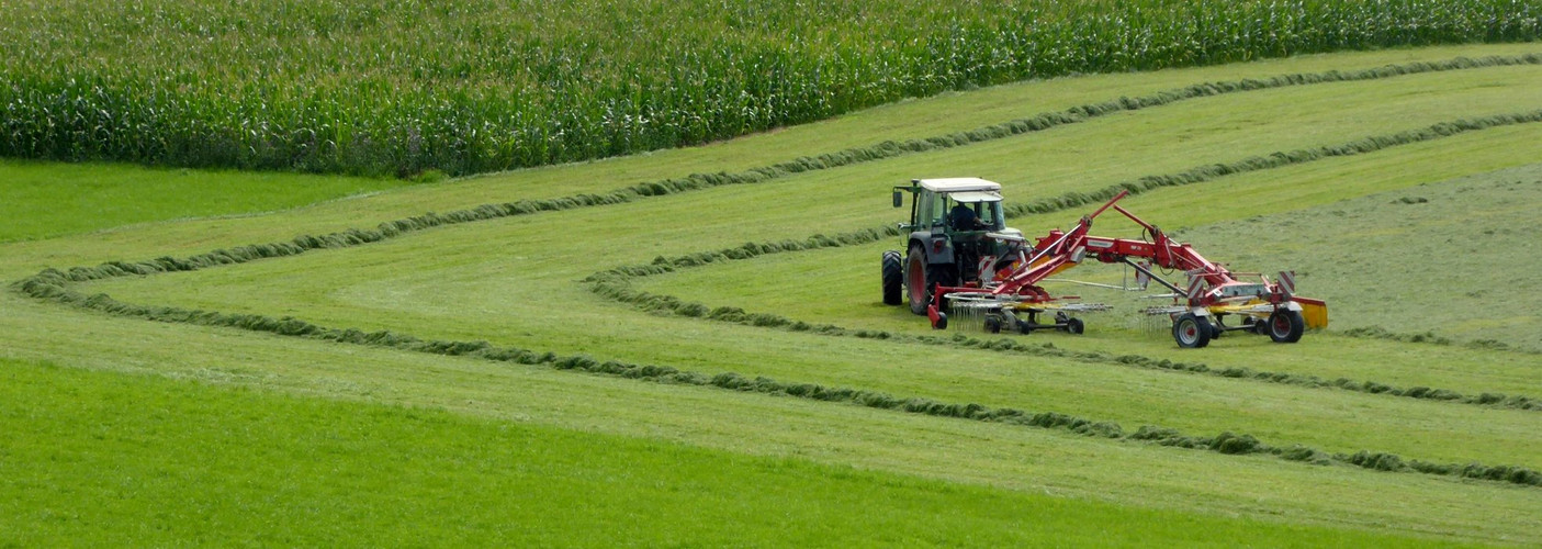 Die Wiesen, der Traktor und die Eckläufer