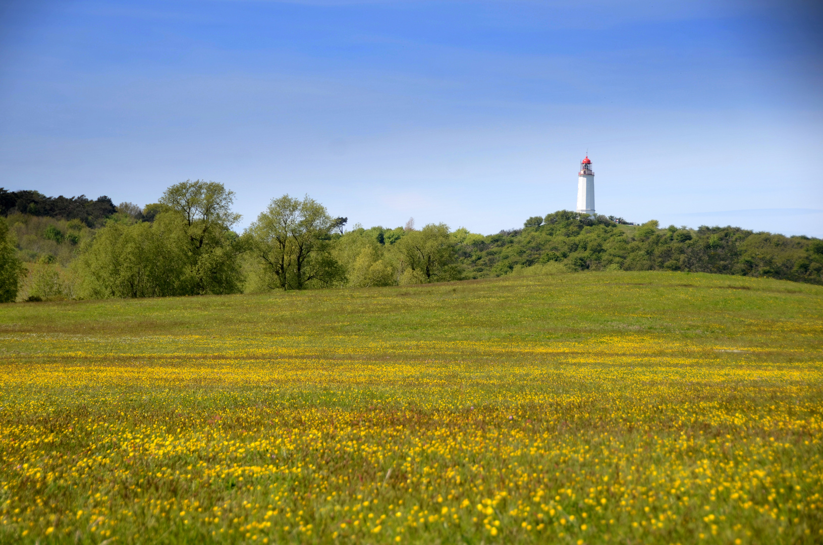  Die Wiesen um den Leuchtturm Dornbusch 