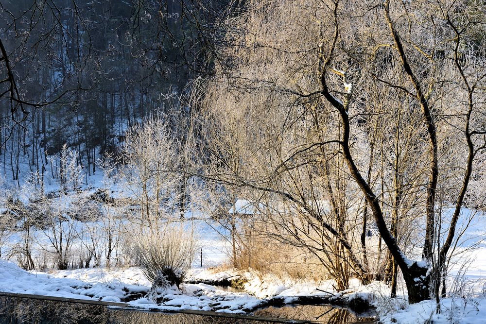  die wiesent im winter