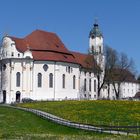 Die Wieskirche im Frühling