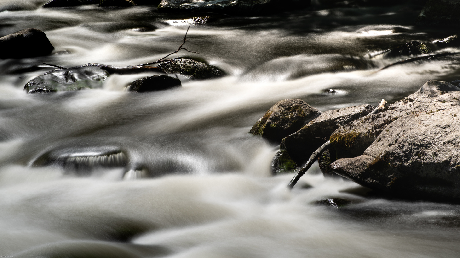 die wilde Bode