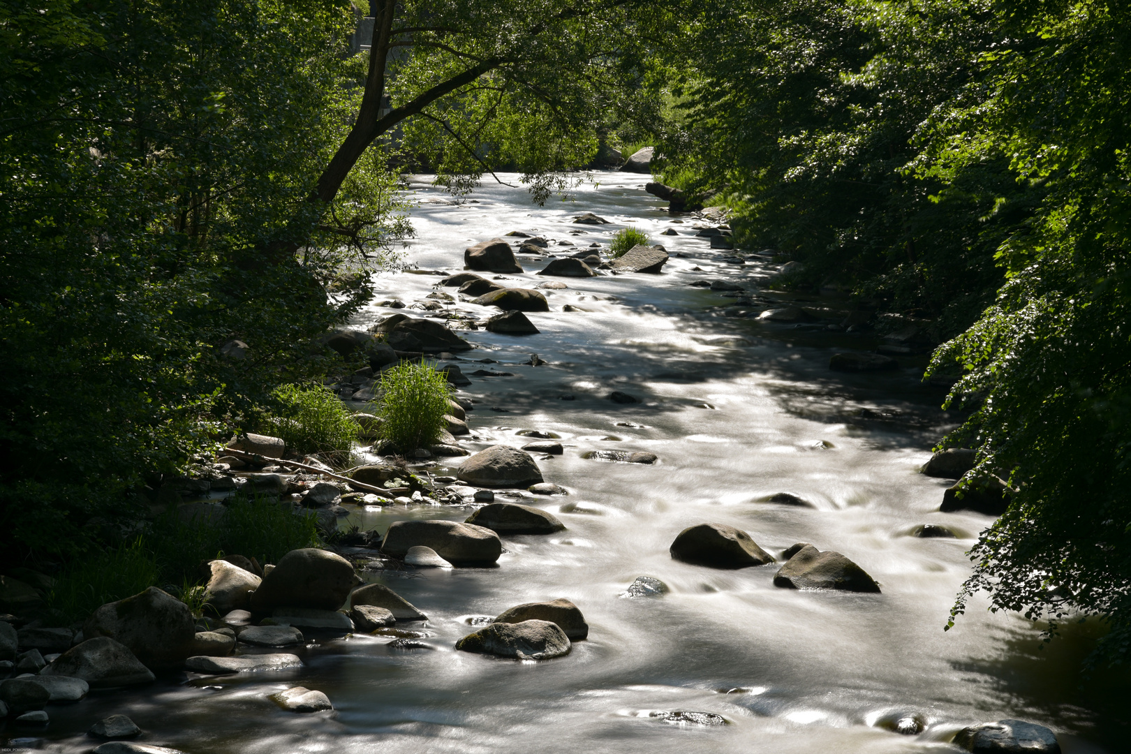 die wilde Bode