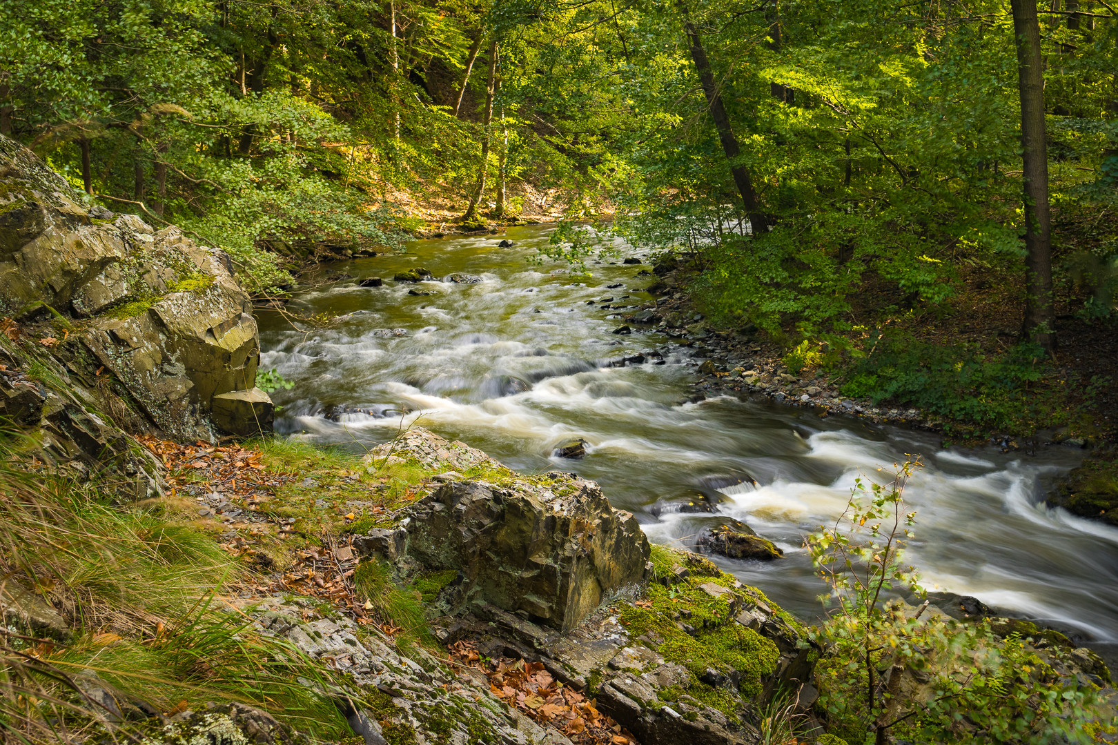 Die wilde Bode im Harz