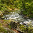 Die wilde Bode im Harz