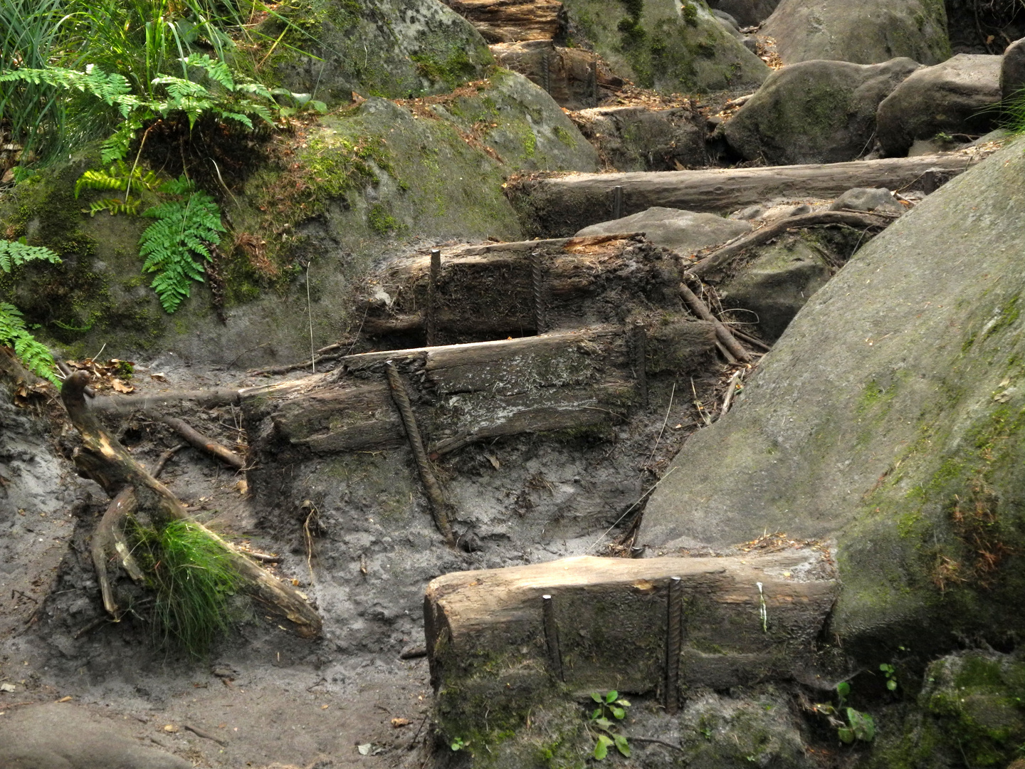 die "Wilde Hölle" im Elbsandsteingebirge