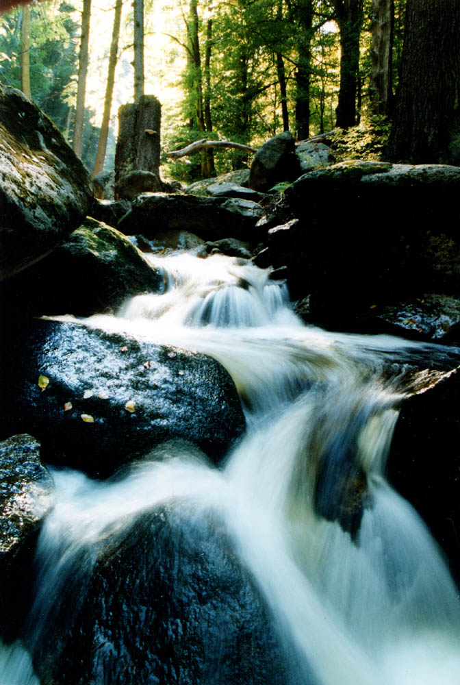 Die Wilde Ilse, Wildwasserbach im Harz