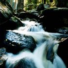 Die Wilde Ilse, Wildwasserbach im Harz