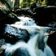 Die Wilde Ilse, Wildwasserbach im Harz