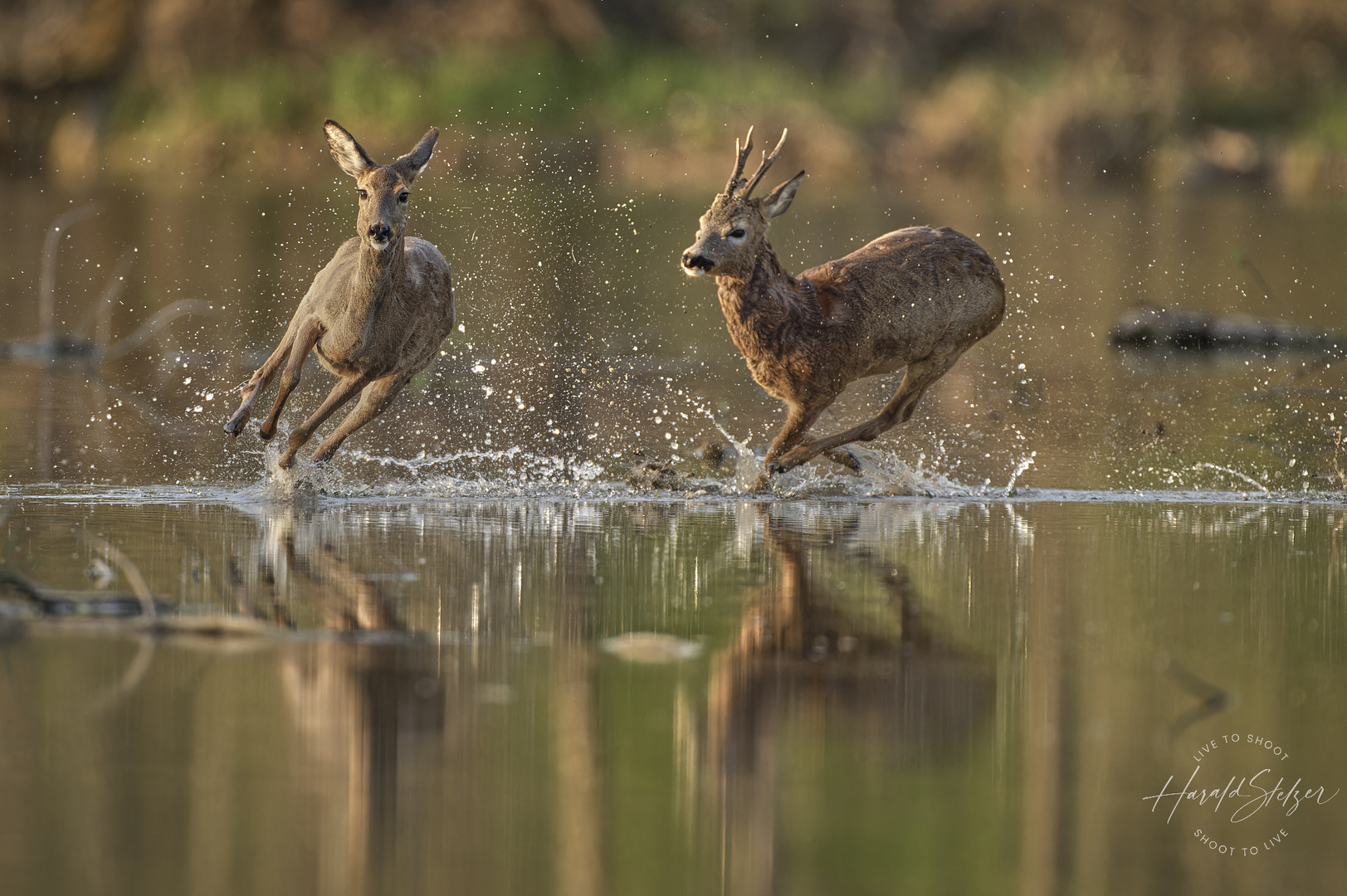 Die wilde Jagd 