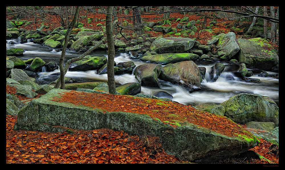 ~~~ Die wilde Moldau ~~~