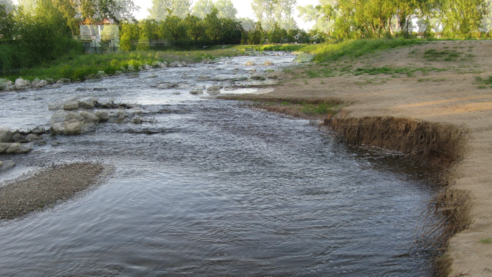 Die wilde Nidda