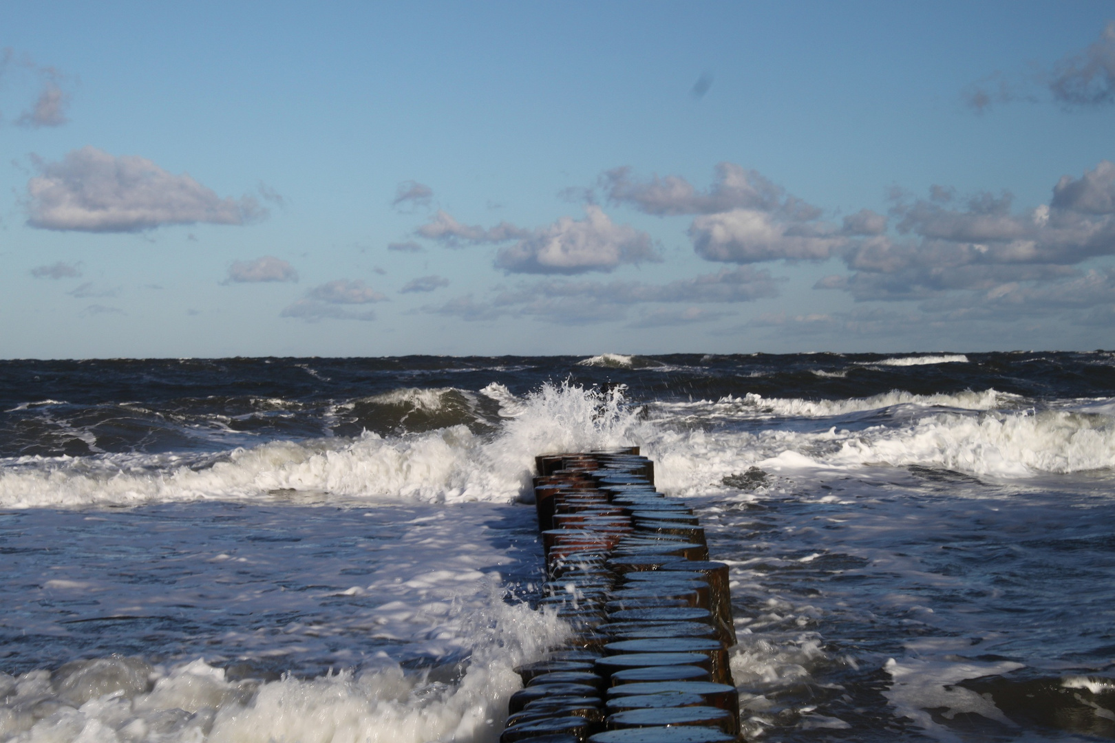 Die wilde Ostsee