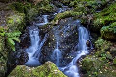 Die wilde Ravennaschlucht im Herbst