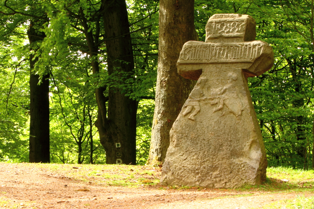 "Die wilde Sau" am Rennsteig