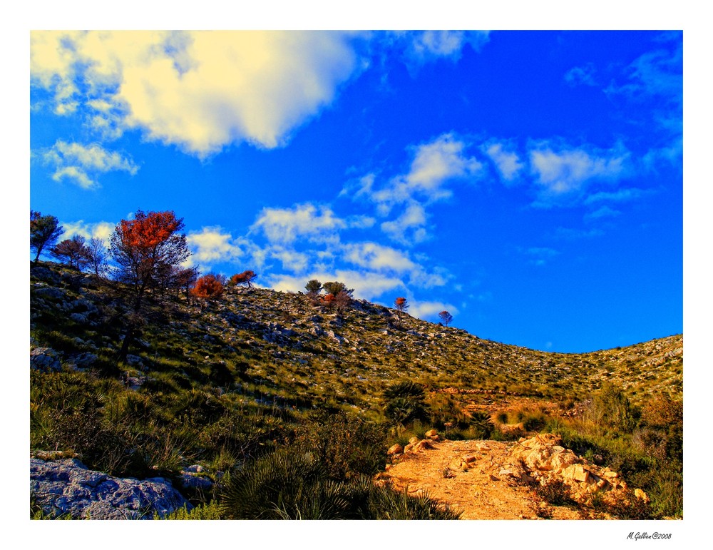 Die wilde Schönheit Mallorcas