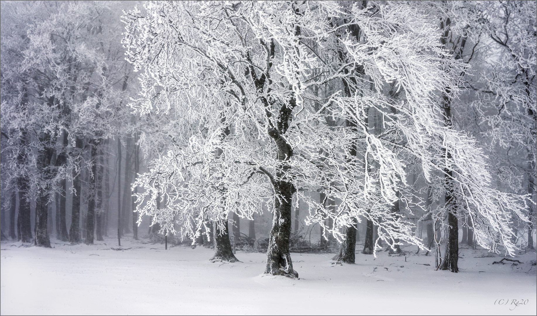 die wilde seite des winters