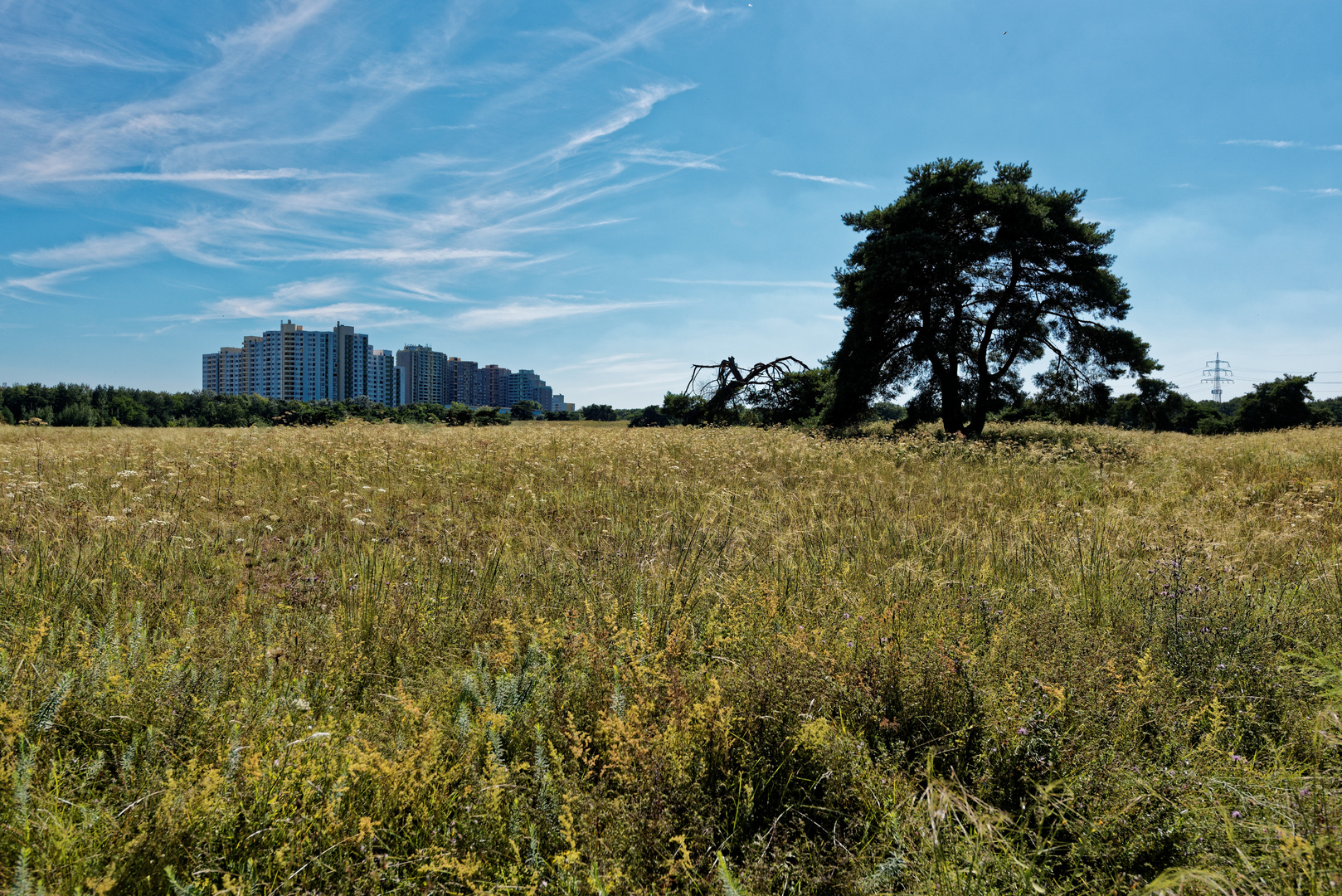 Die "wilde Steppe" direkt vor der Haustür