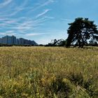 Die "wilde Steppe" direkt vor der Haustür