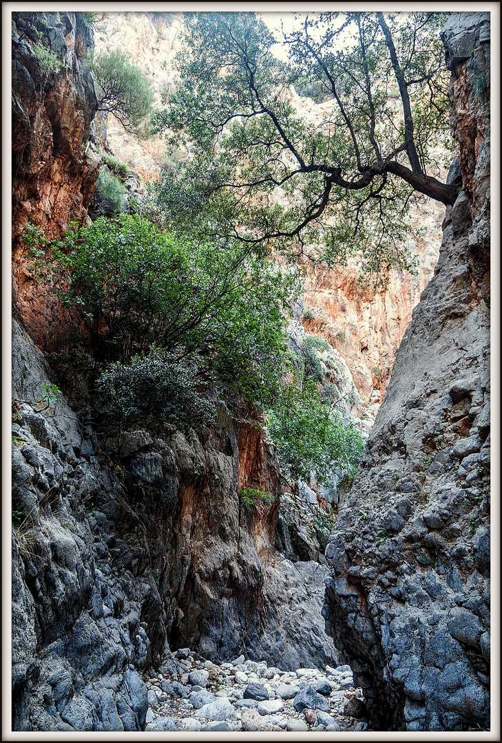 Die wilde und schöne  Kritsa-Schlucht.