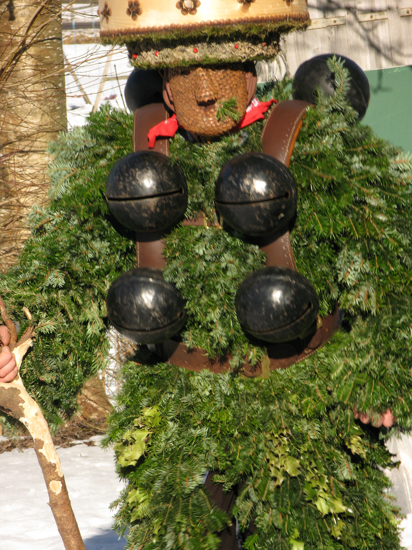 Die Wilden Silvesterchläuse